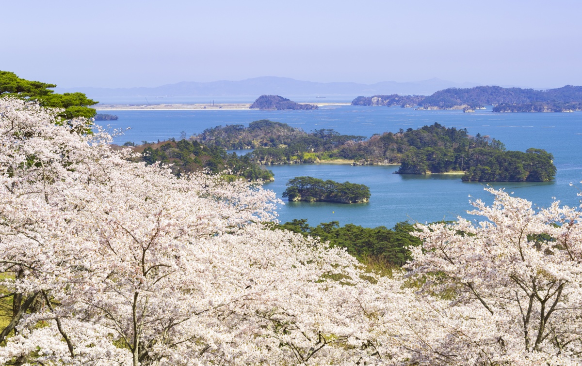 5. อ่าวมัตสึชิมะ (Matsushima Bay)