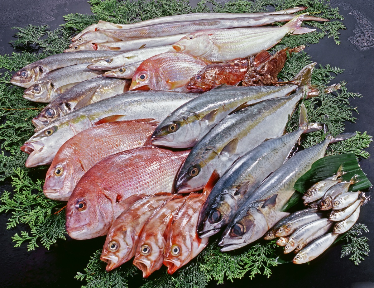 日本"鱼"文化