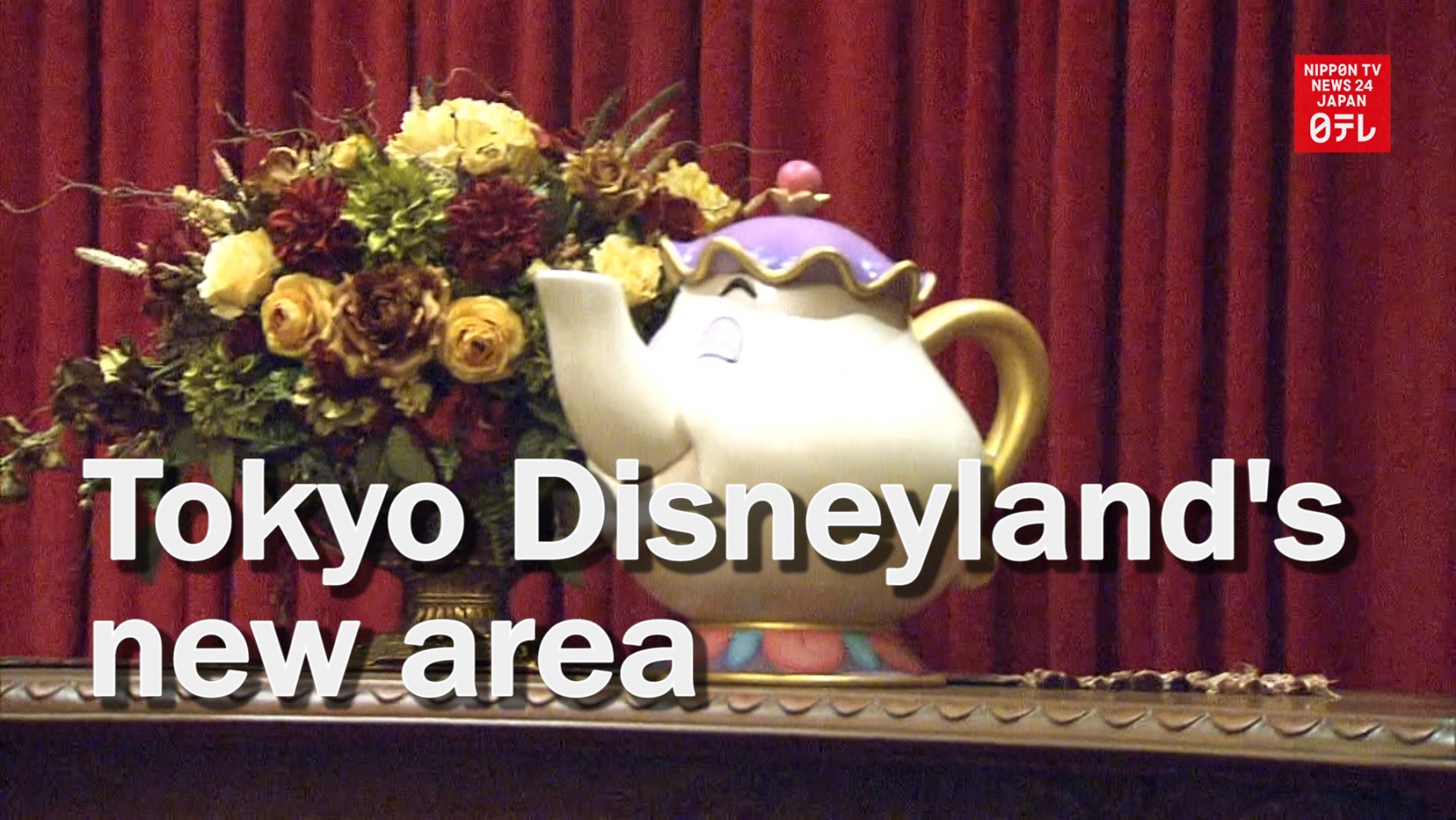 Tokyo Disneyland's New Attraction