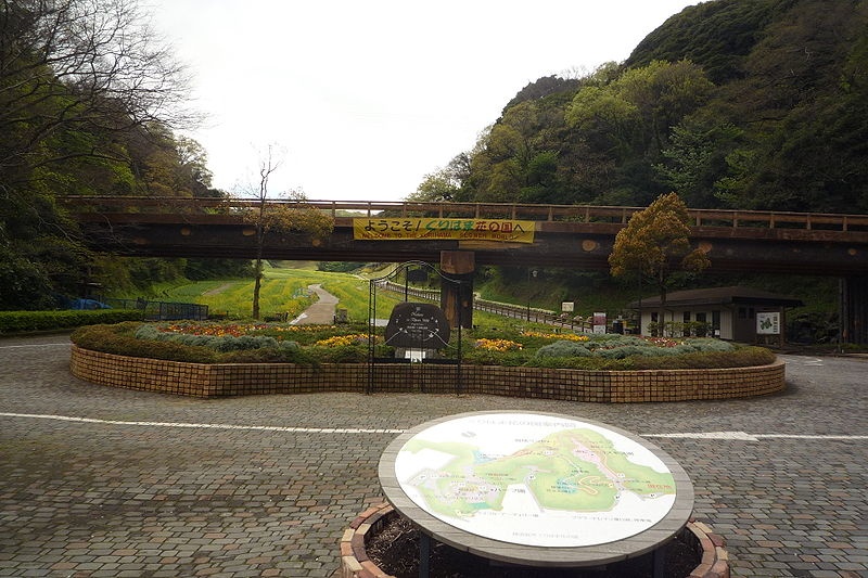 7. Stop and smell the flowers at Kurihama Flower Park