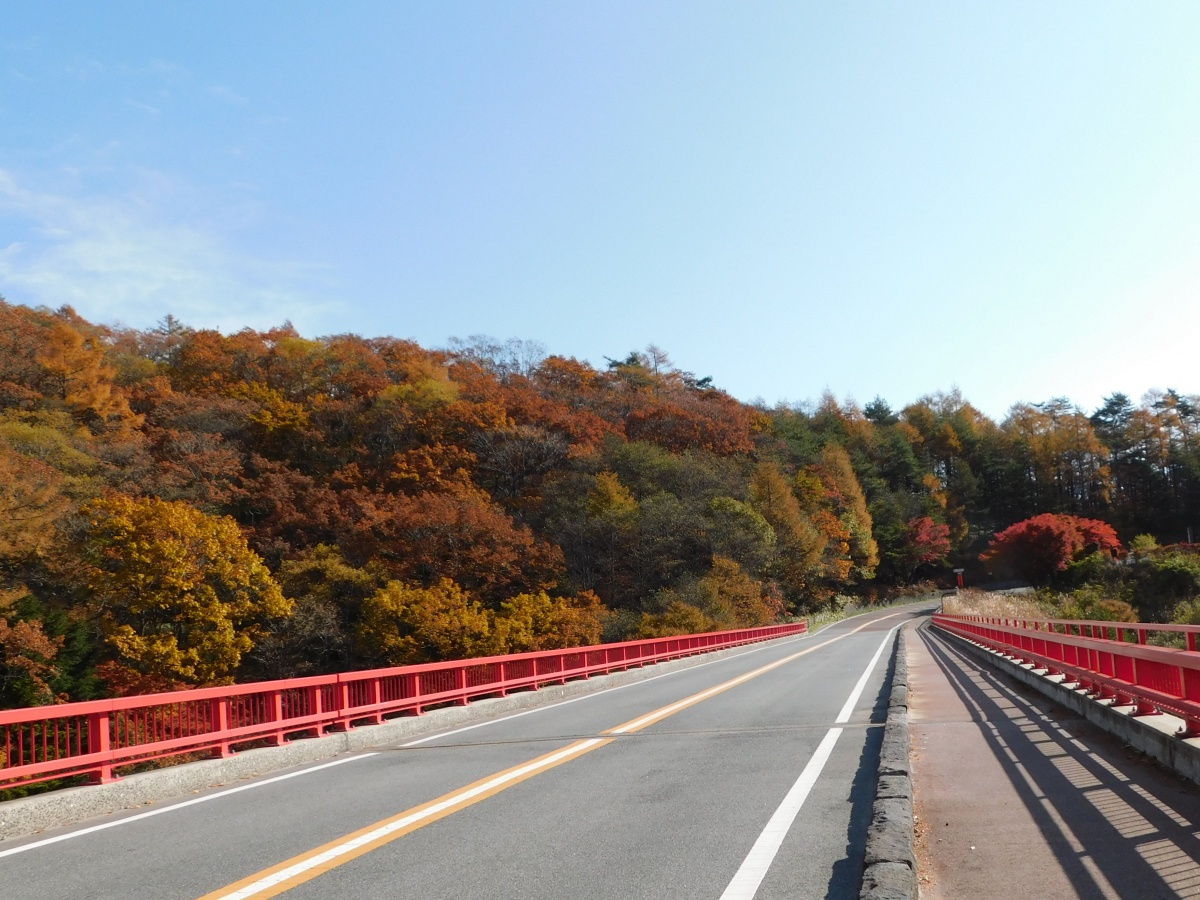 山谷中優雅的紅色大橋