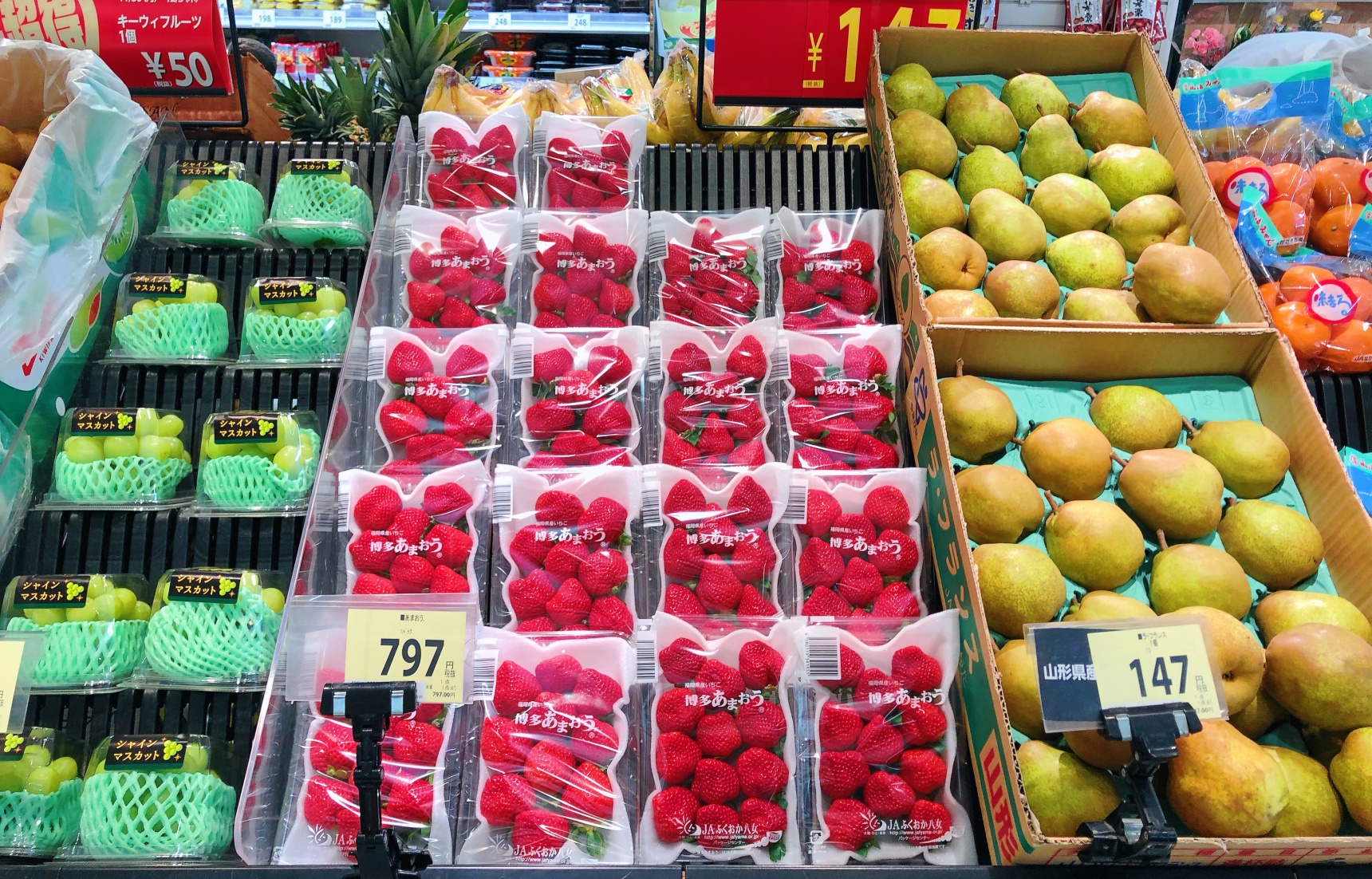 日本的水果惊为天价？吃个西瓜就会变身“土豪”！这背后...