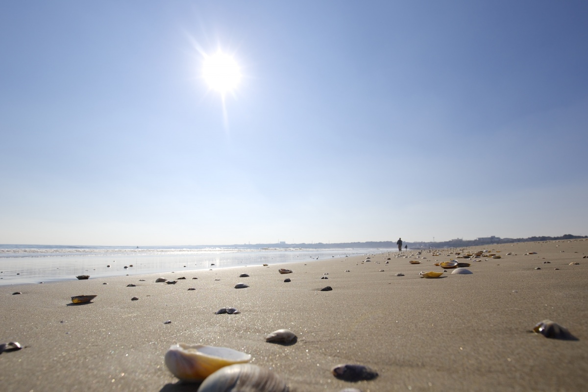 可撿拾蚌殼與進行海上活動的「大洗陽光海水浴場」