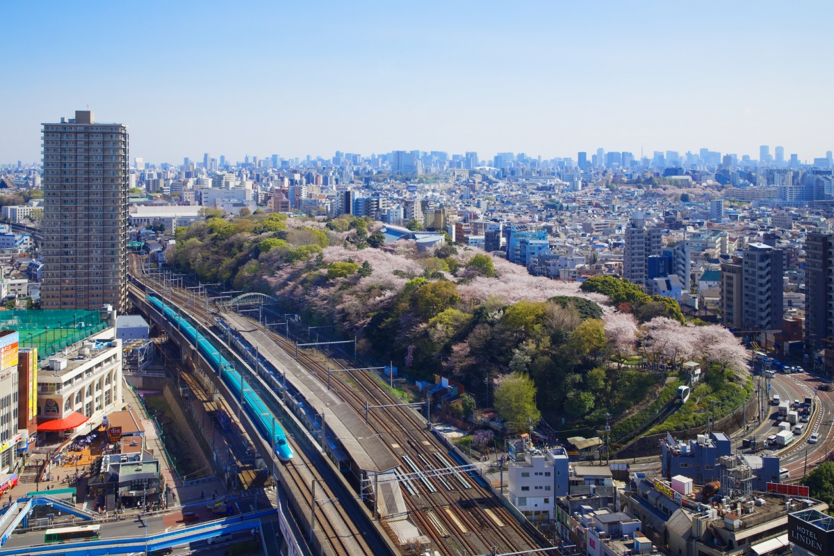 [SA-16] สถานีโอจิ-เอกิมาเอะ (Oji-ekimae Station)