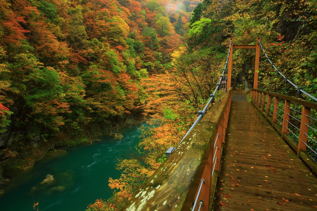 ชมใบไม้เปลี่ยนสี ที่หุบเขาดาคิกาเอริ (Dakigaeri Gorge)