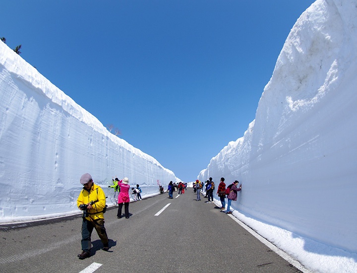 2. เที่ยวกำแพงหิมะแห่งฮอกไกโดที่เมืองชิเรโตโกะ (Shiretoko Snow Wall Walk)