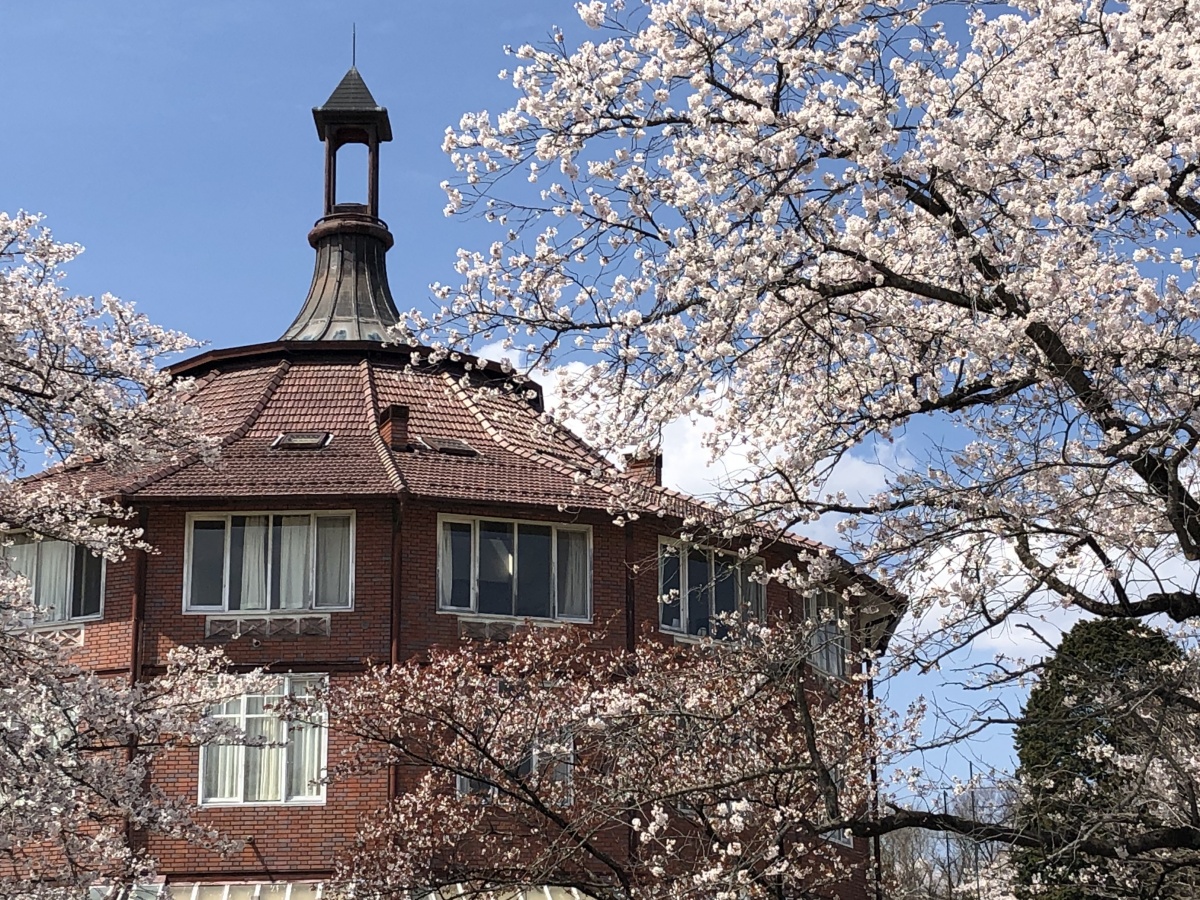 櫻花與美麗建築物相輝映「清春藝術村」