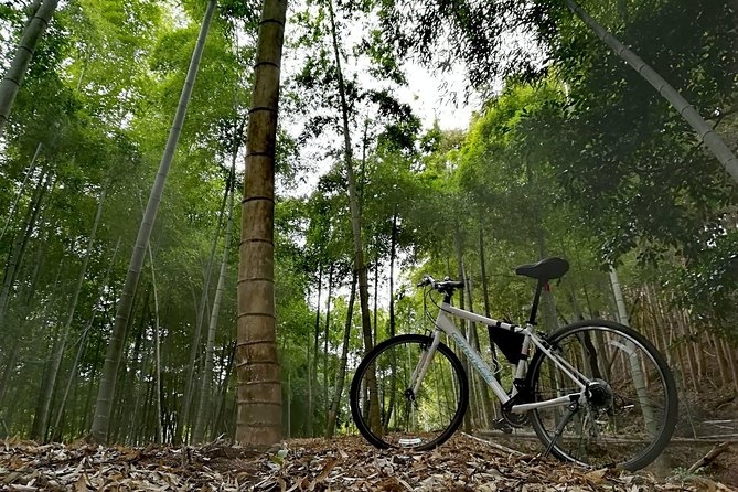 5. Arashiyama bamboo bike tour