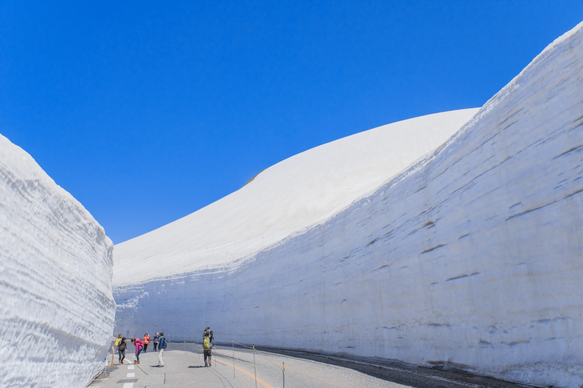 7. กำแพงหิมะ จังหวัดโทยามะ (Tateyama Kurobe Alpine Route, Toyama)