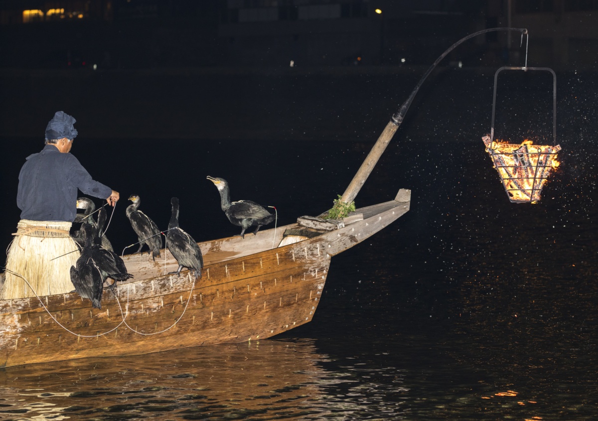 3. สนุกและตื่นตาไปกับ “อุไค” การจับปลาด้วยนกกาน้ำที่แม่น้ำนะกะระ จ.กิฟุ (Nagara River Ukai, Gifu)
