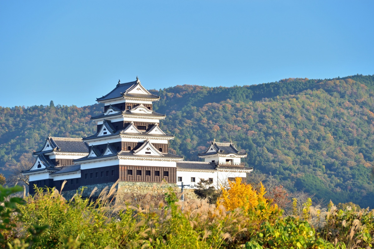 เที่ยวชมปราสาทโอซุ (Ozu Castle)