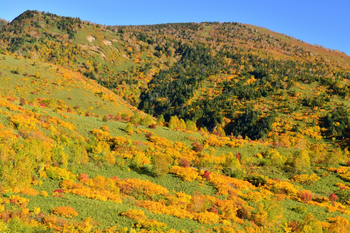 2. เมืองฮาจิมันไต จ.อิวาเตะ (Hachimantai, Iwate)