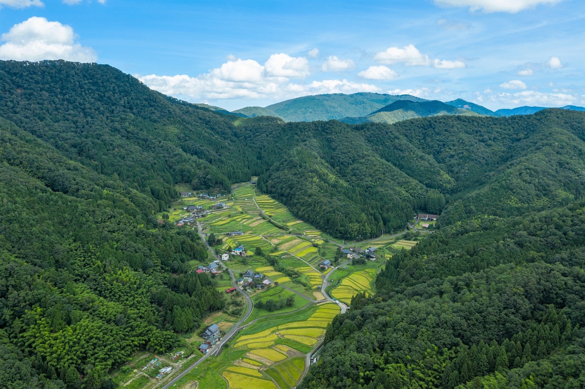 牽動京都歷史與文化相依相伴的里山