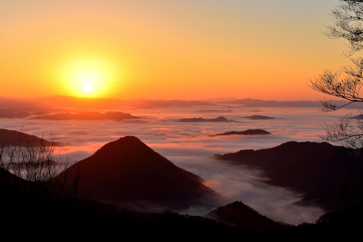 體驗最道地的福知山風情