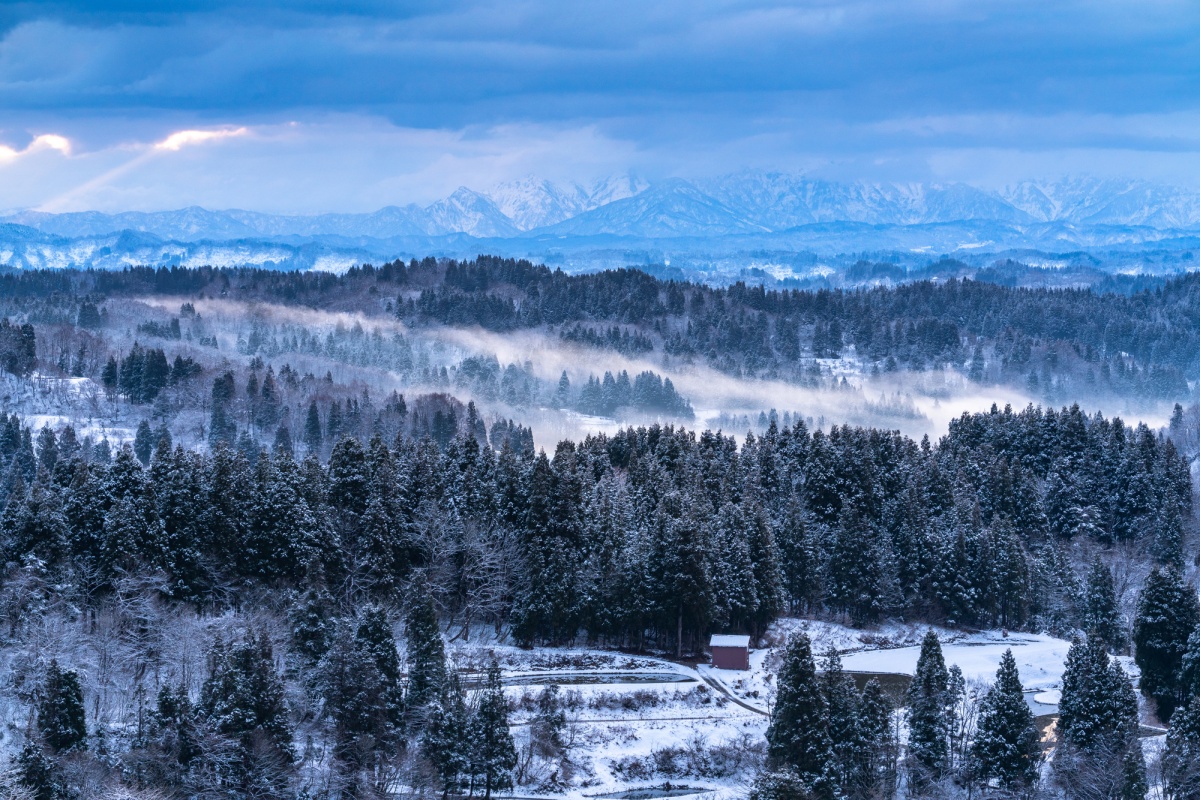 ฤดูหนาวที่เมืองโทคามาชิ (Tokamachi) จังหวัดนีงาตะ (Niigata)