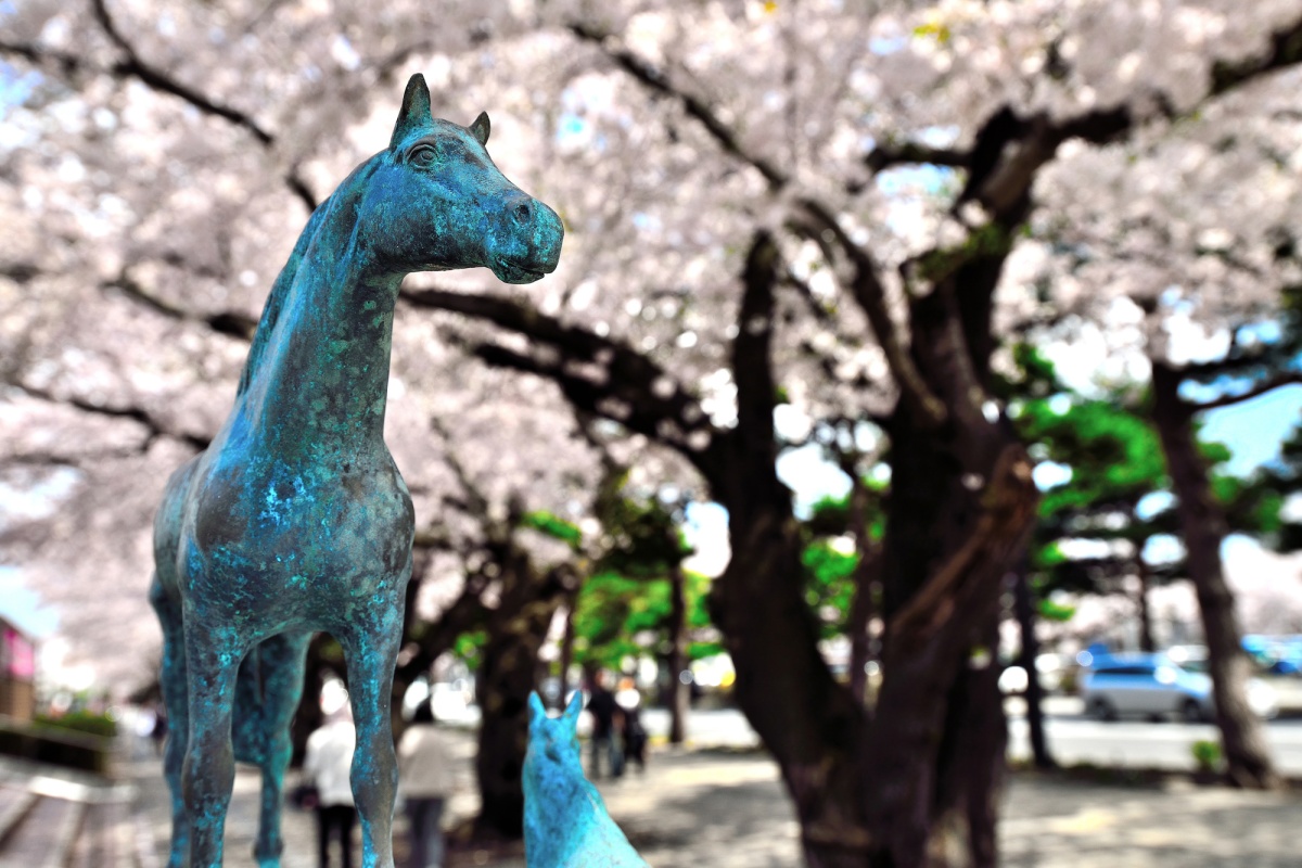 Towada: Surrounded by blossoms and contemporary art