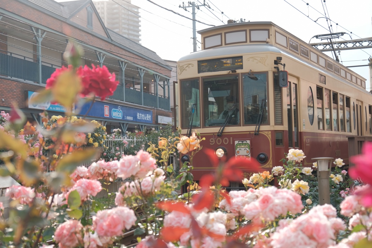 รู้จักกับรถรางสายอาราคาวะ (Arakawa Line) หรือ Tokyo Sakura Tram