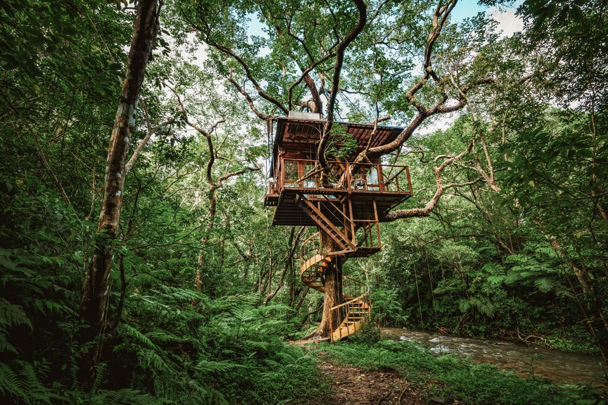 沖繩「Treeful Treehouse」 走進侏羅紀世界