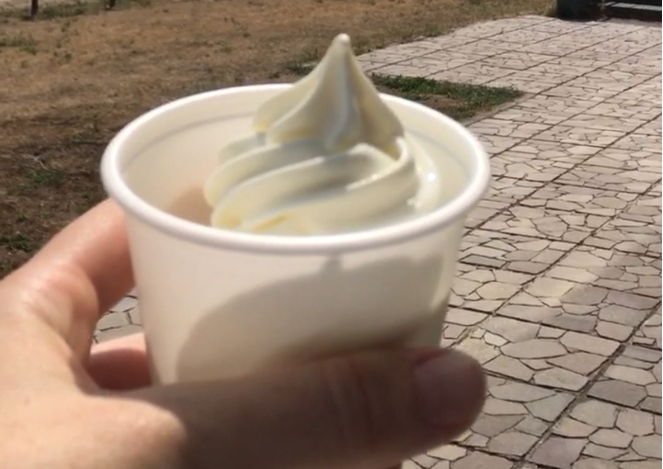 1:30 pm: Soft-serve Ice Cream at Observation Lounge Café Celeste