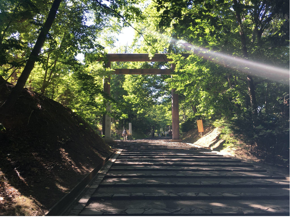 2:30 pm: Pay a visit to Hokkaido Shrine & Maruyama Park