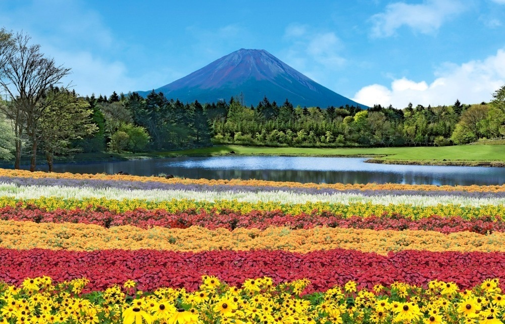 日本自由行：绝对不能错过的富士山网红景点（2022最新版）