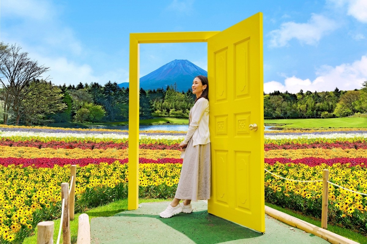 富士本栖湖渡假村的夏日彩虹花卉祭