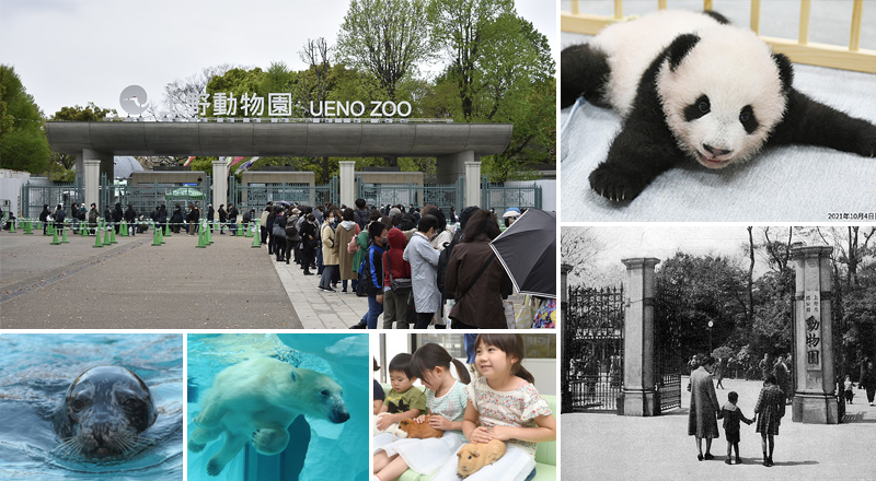 1.1 สวนสัตว์อุเอโนะ (Ueno Zoo)