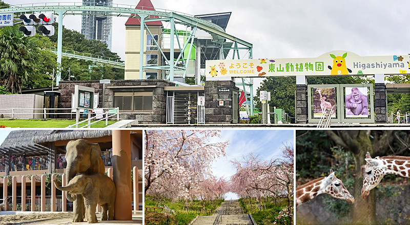 1.3 สวนสัตว์และสวนพฤกษศาสตร์ฮิงาชิยามะ (Higashiyama Zoo and Botanical Gardens)