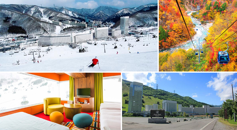 2.1 นาเอบะสกีรีสอร์ท (Naeba Ski Resort)