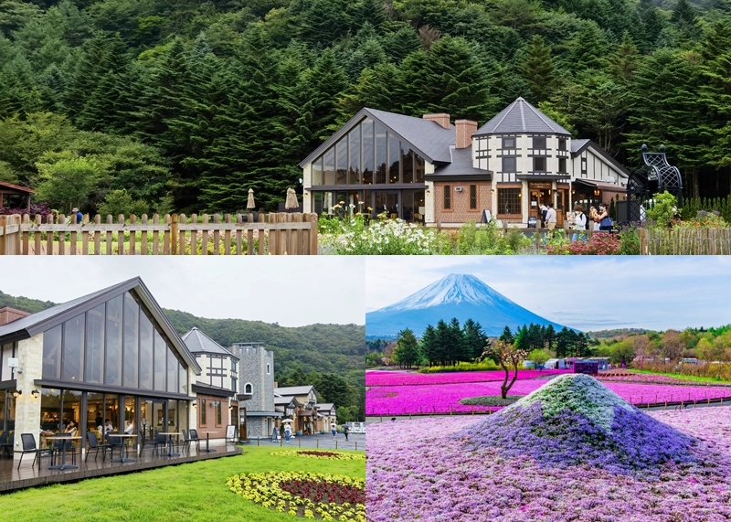 ทำความรู้จักกับฟูจิโมโตสึโกะรีสอร์ท  (Fuji Motosuko Resort)