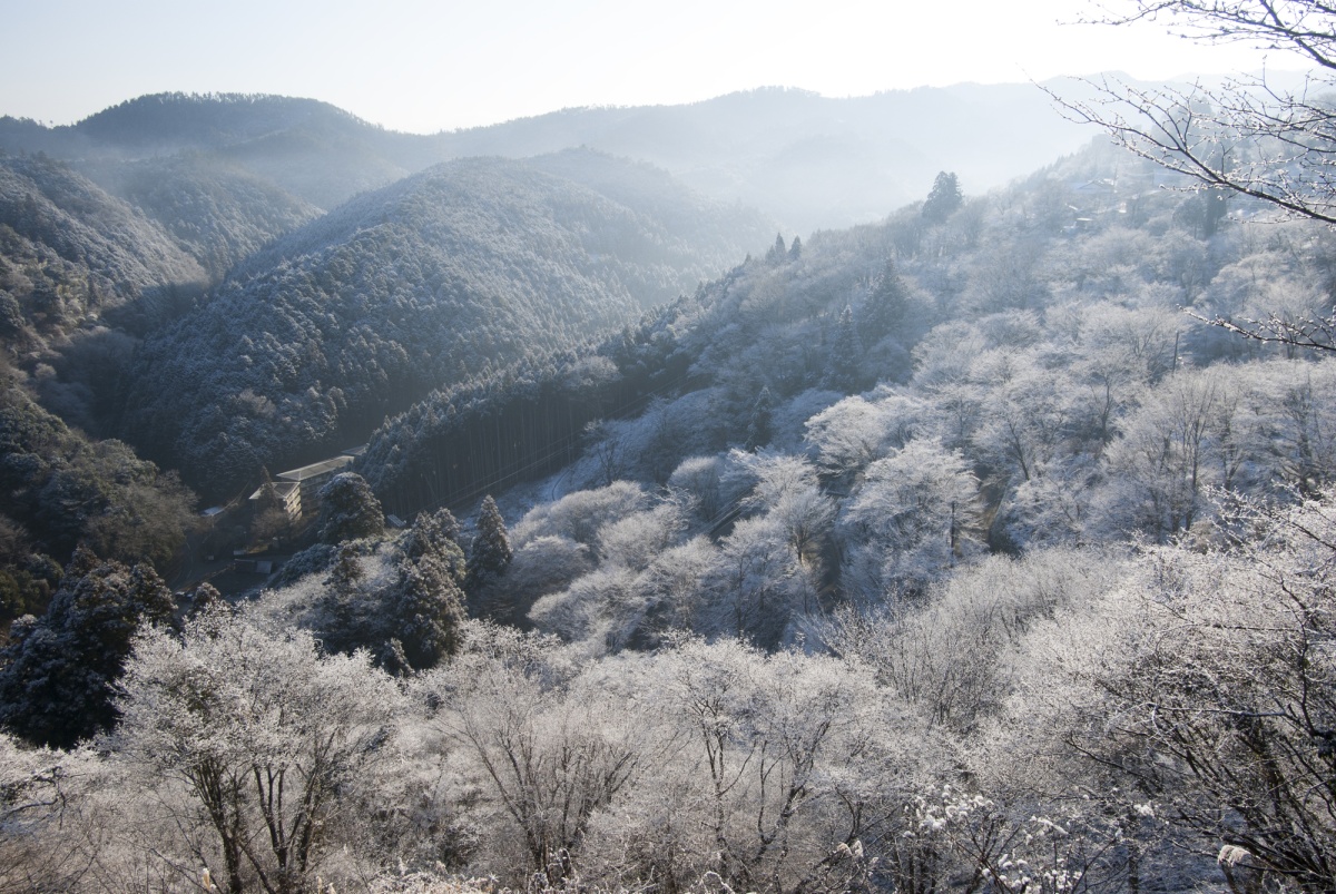 6. ภูเขาโยชิโนะ จังหวัดนารา (Mt. Yoshino, Nara)