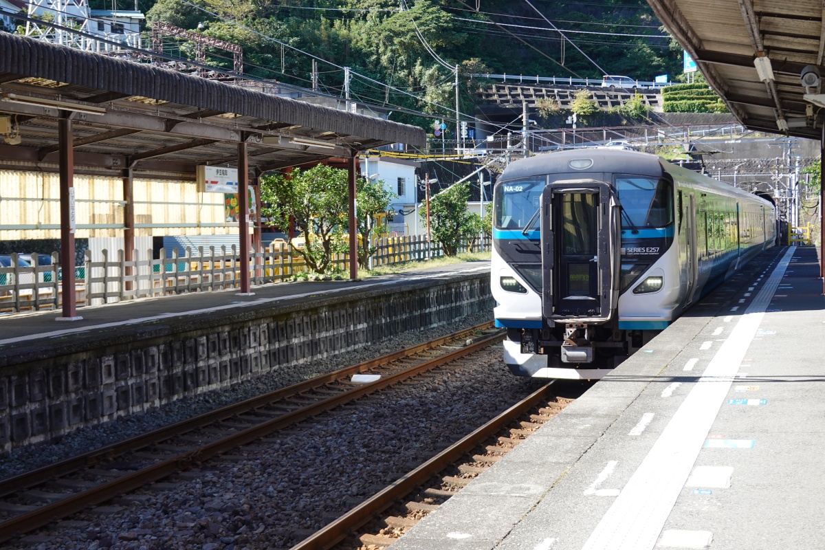 帶著伊豆旅行必備車票，搭上觀光列車來趟美好之旅