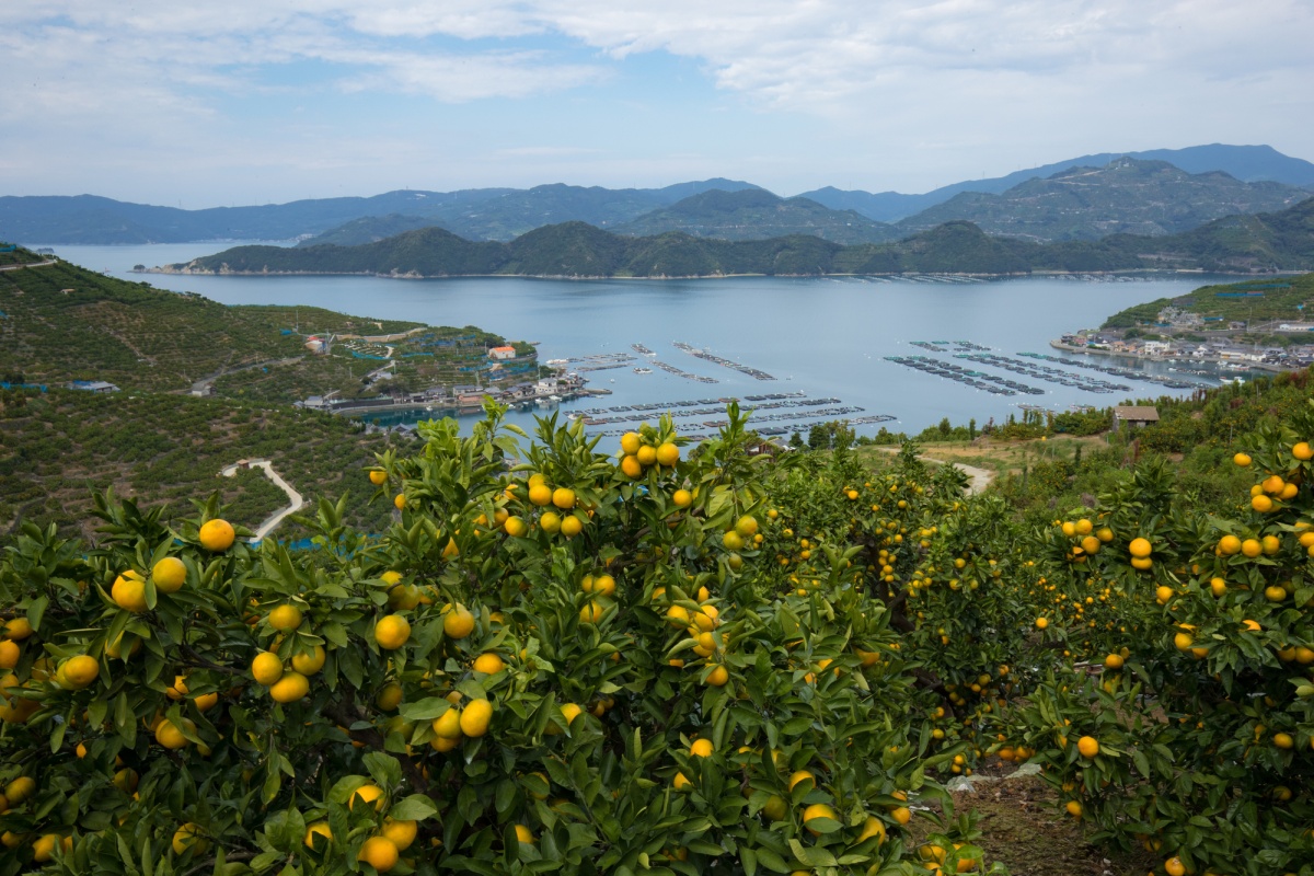 铃芽之旅圣地巡礼 推荐路线