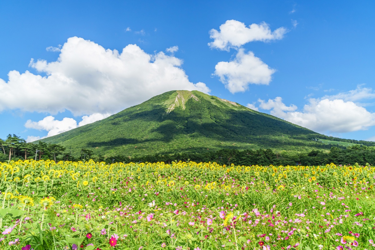 3. ภูเขาไดเซน (Mt.Daisen) จังหวัดทตโตริ (Tottori)