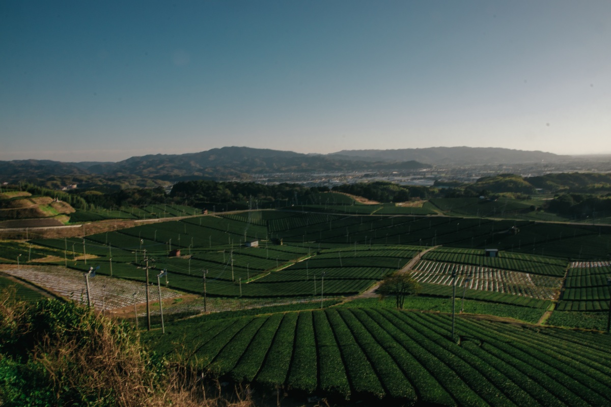 Fukuoka Prefecture: An Ideal Climate and Generations of Farmers