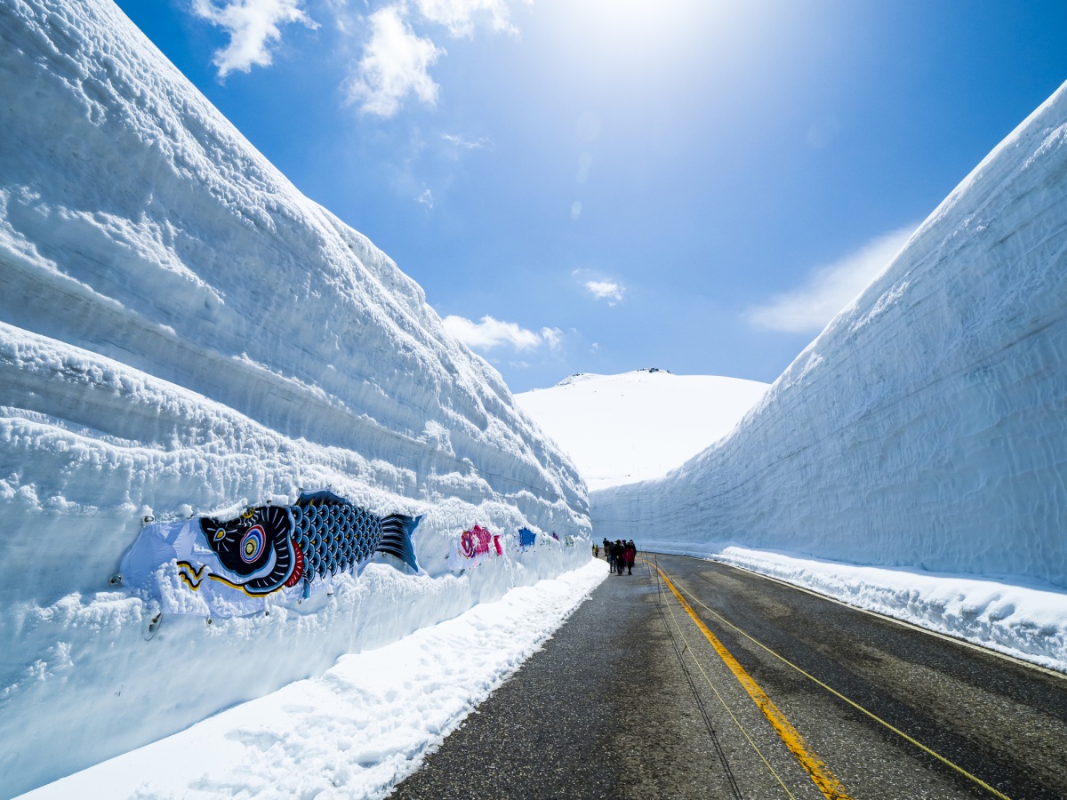 1. กำแพงหิมะทาเทยามะ (雪の大谷/雪の回廊)