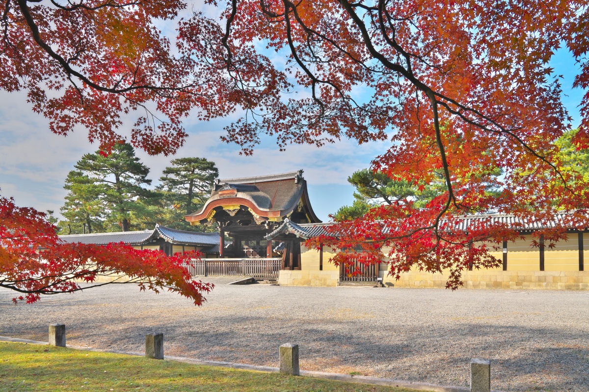 10. สวนอิมพีเรียลเกียวโต (Kyoto Gyoen National Garden: 京都御苑)