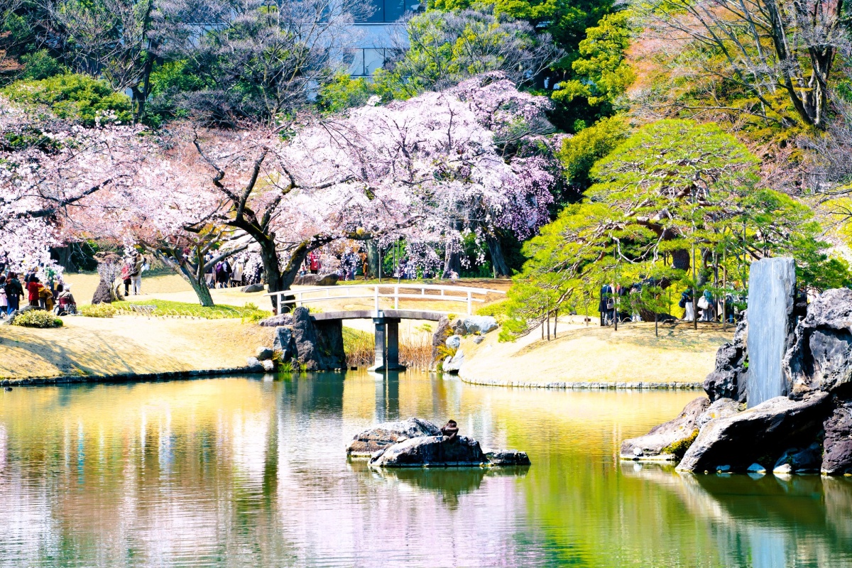 ■東京賞櫻推薦景點9：小石川後樂園