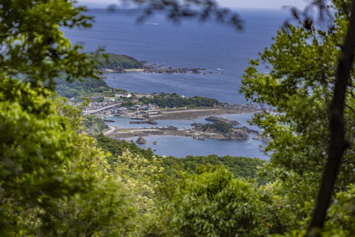 Day 2: Along the Coast: Susami Station to Mirozu Station (11 kilometers)