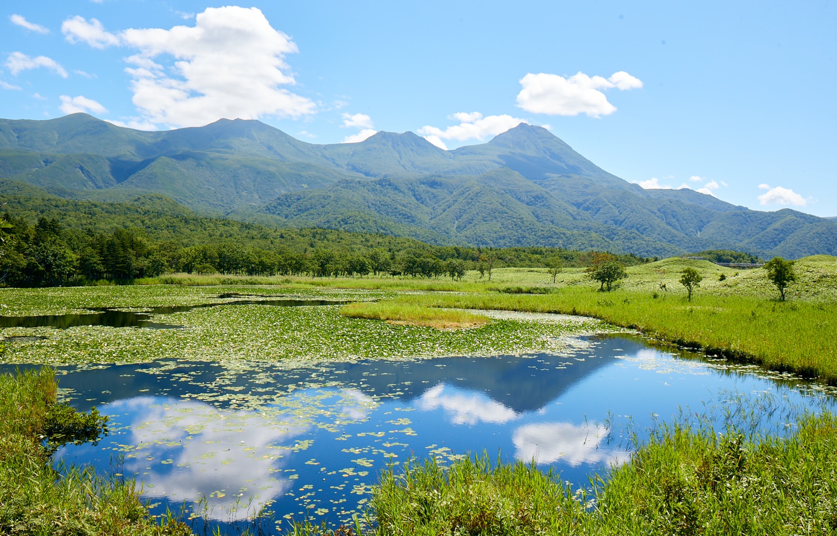 Five Amazing Natural Heritage Sites in Japan