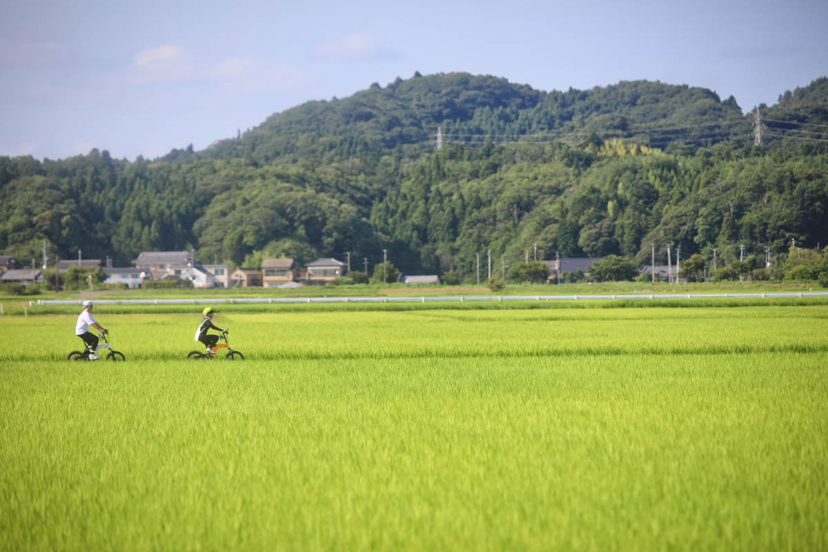 往山間兜風，親近田野之趣