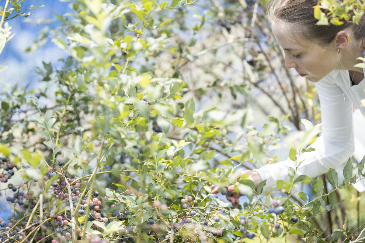 Sharpen your senses with farming and yoga