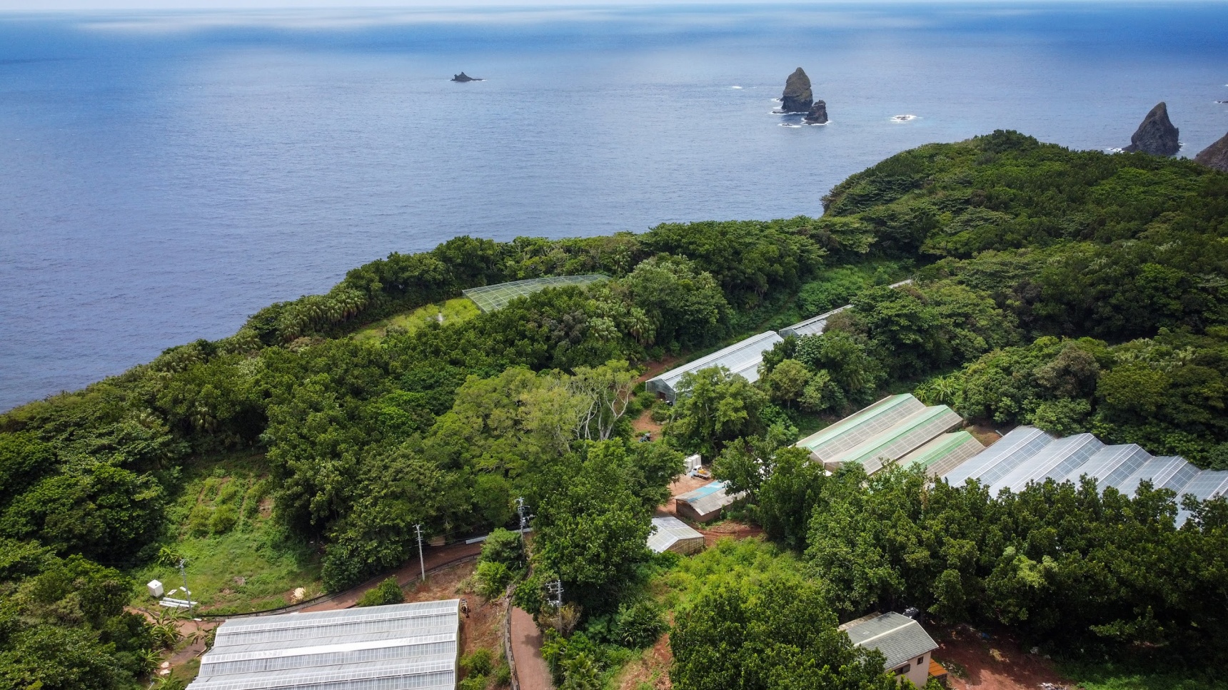 Uncharted Tokyo 3｜Hahajima’s Sustainable Farm: Where Tourism Meets Conservation