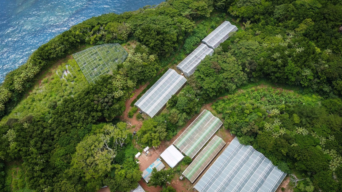 Sustainable Adventures in All Weather