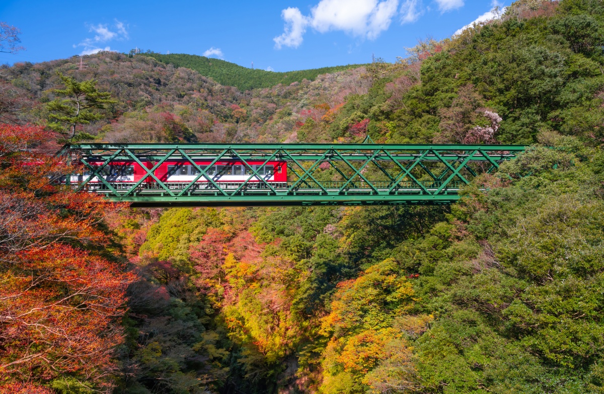 早川桥梁