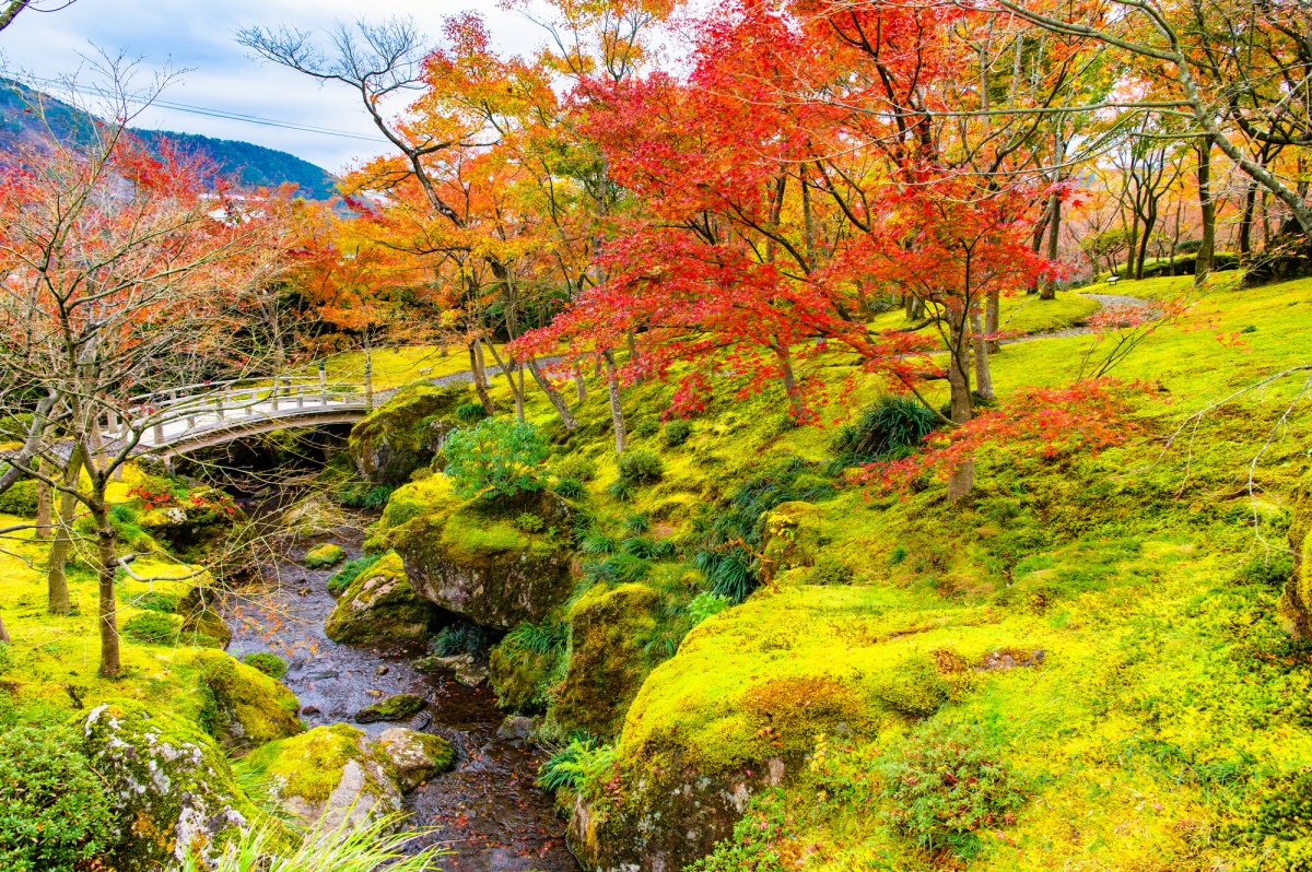 箱根美术馆