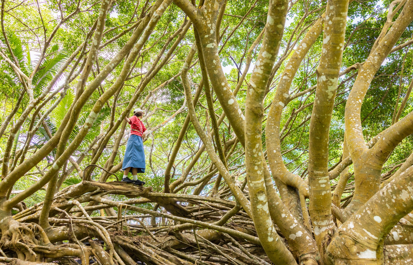 GO WILD TOKYO 4/ Ogasawara—Another Side of Adventure Beyond the Sea