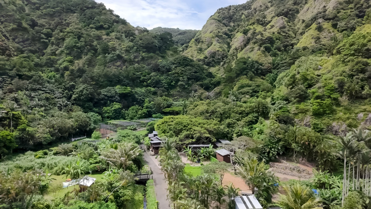 Kanaka Village, Surrounded by Forest