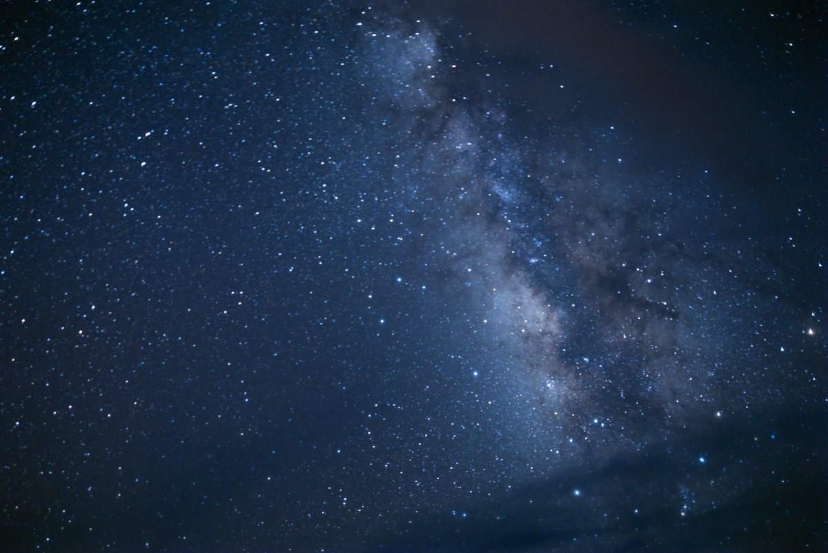 Quiet Activities Unique to Ogasawara