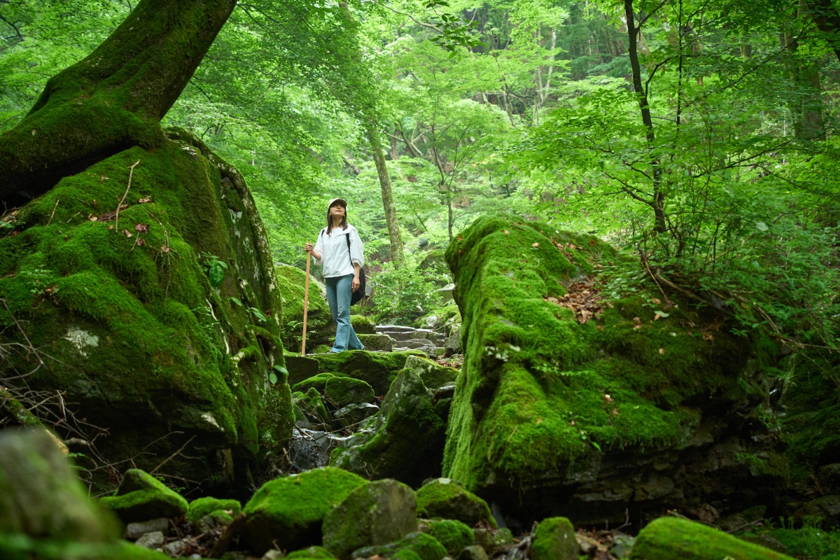 The Appeal of Guided Model Tours